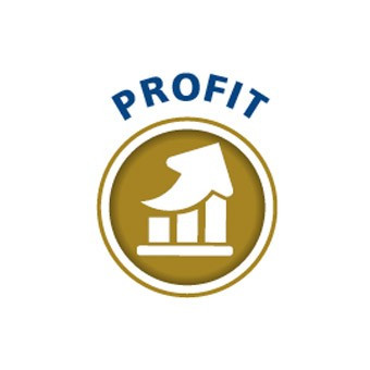Profit